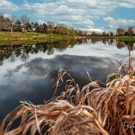 Marvel House - Disneyland 5min, Private Parking, Terrace * Magny-le-Hongre